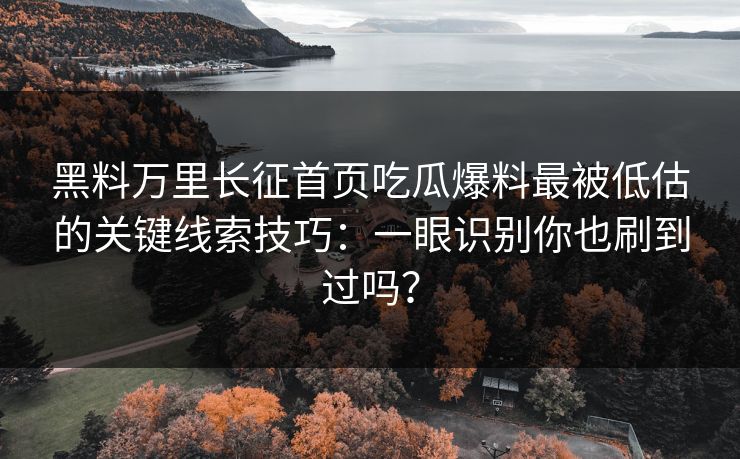 黑料万里长征首页吃瓜爆料最被低估的关键线索技巧：一眼识别你也刷到过吗？