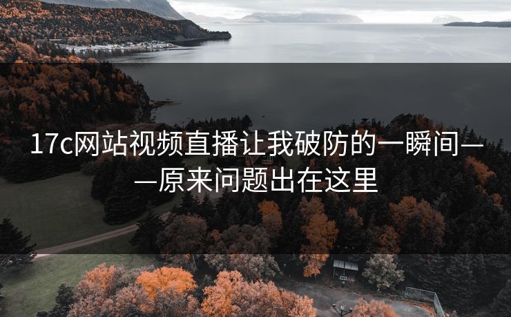 17c网站视频直播让我破防的一瞬间——原来问题出在这里