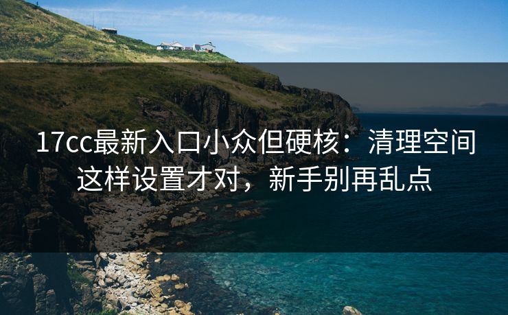 17cc最新入口小众但硬核：清理空间这样设置才对，新手别再乱点